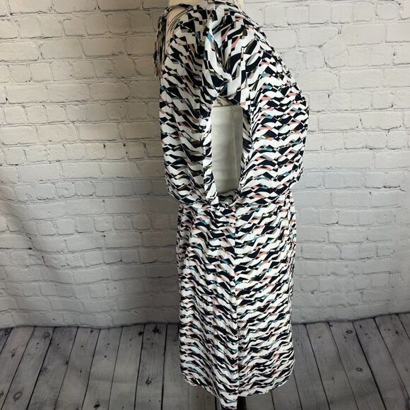 The Limited Abstract Print Dress - Picture 7 of 11